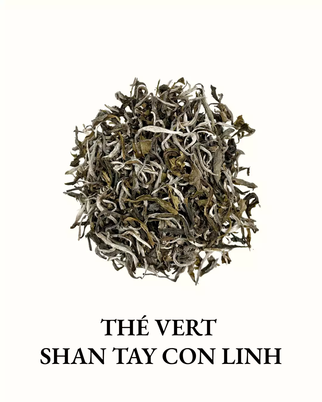 Thé Vert Shan Tay Con Linh 