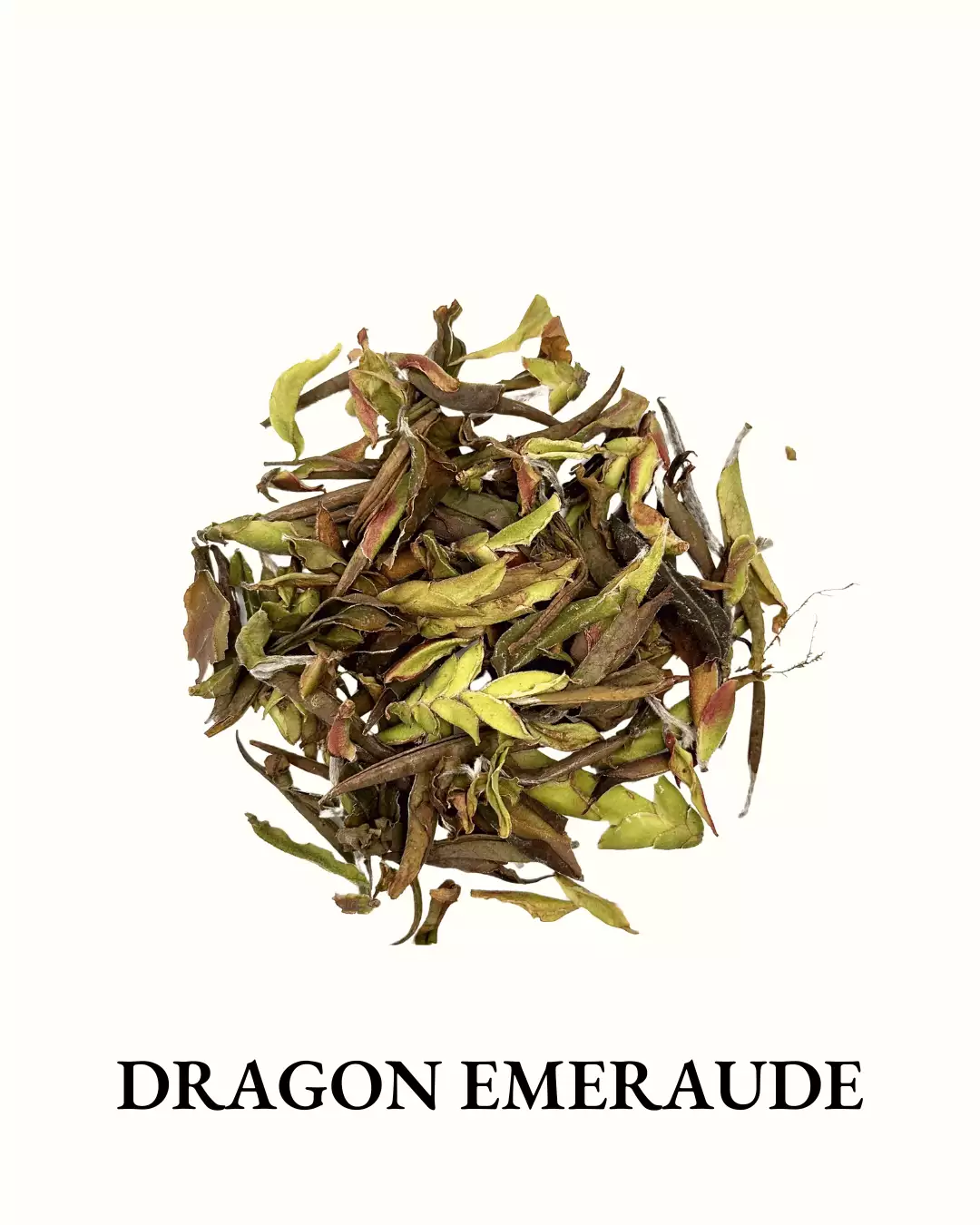 Dragon Emeraude 