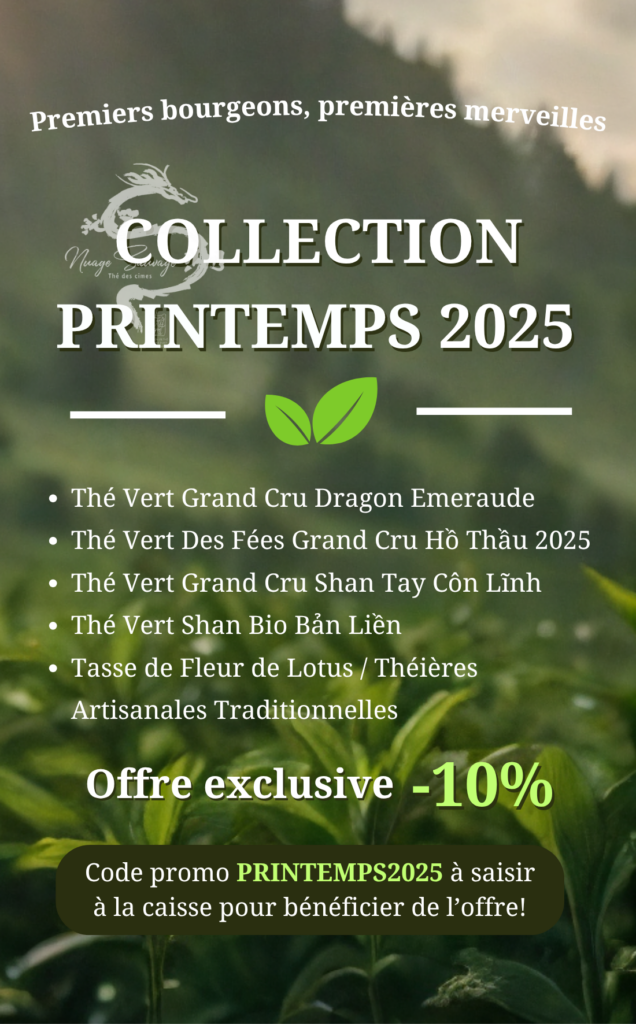 Collection Printemps 2025