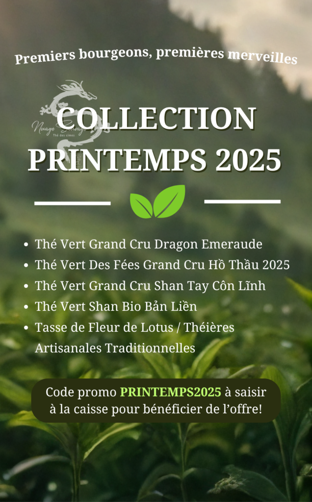 Collection Printemps 2025