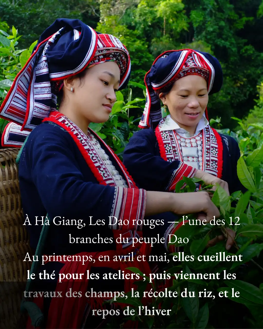 À Ha Giang, Les Dao rouges À Ha Giang, Les Dao rouges