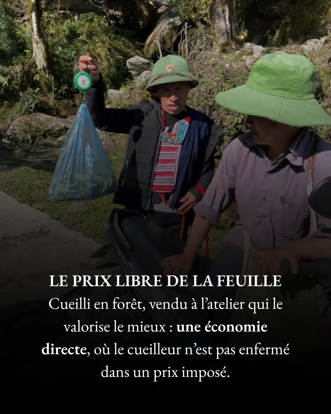 Le Prix libre de la feuille Le Prix libre de la feuille