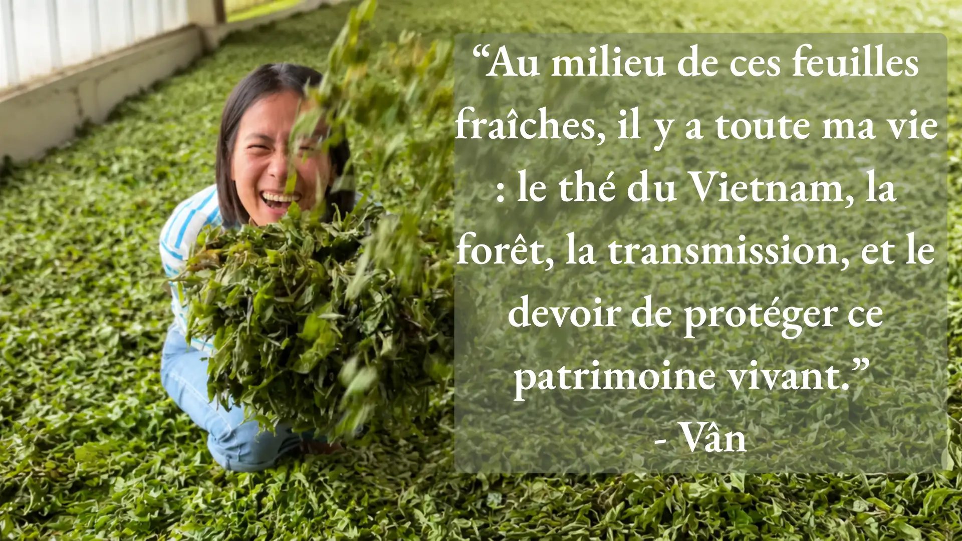 Van – Ceo of Nuage sauvage Van – Ceo of Nuage sauvage