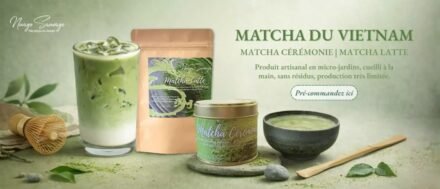 Page d’accueil 4 Web-banner-30-scaled-e1779879763607