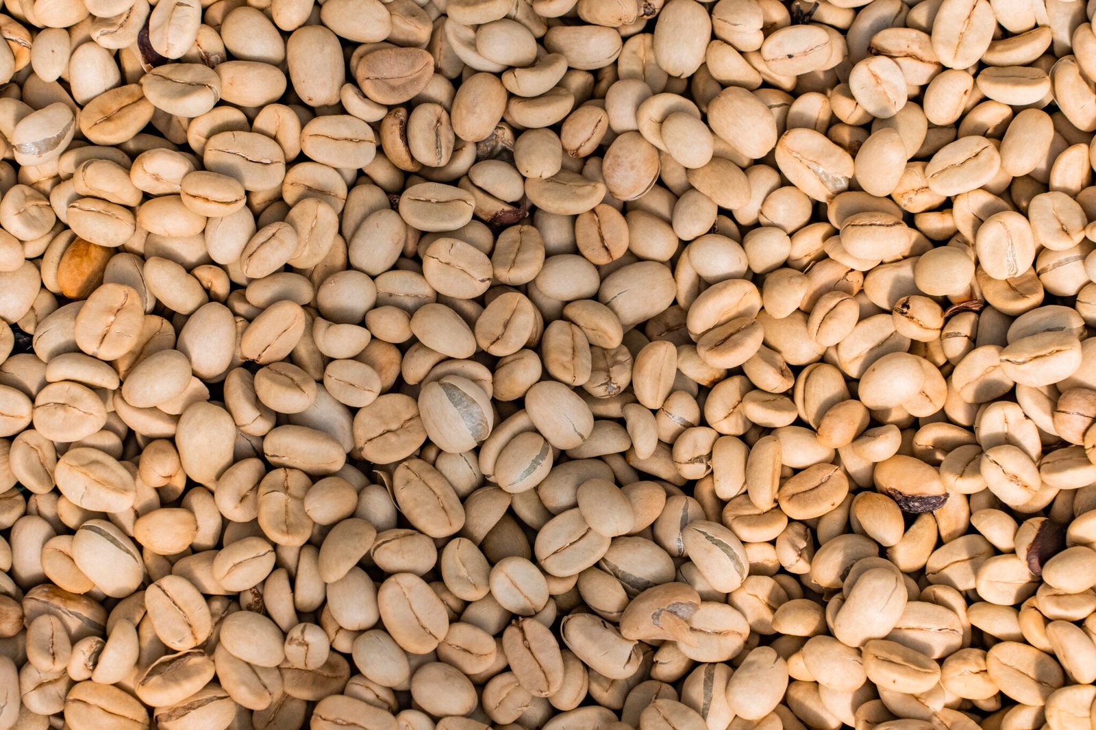 Qu’est-ce que le score SCA ? Le guide simple pour comprendre le café de spécialité 1 Cafés de spécialité Vietnam